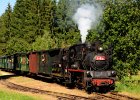 2021.09.25 JHMD U46.101 Jindřichův Hradec - Nová Bystřice (49)